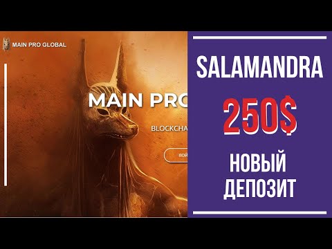 Портал Main Pro Global Новый депозит 250$ в игру Salamandra