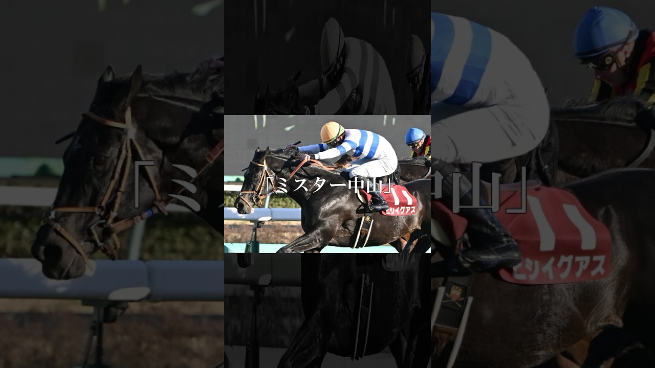 中山に愛され。中山で光り。中山を愛し。中山巧者の奮闘記 #ヒシイグアス #競馬 #shorts