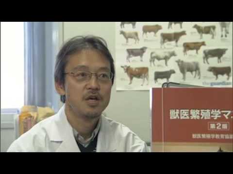 麻布大学 研究室紹介17_金子 一幸 教授