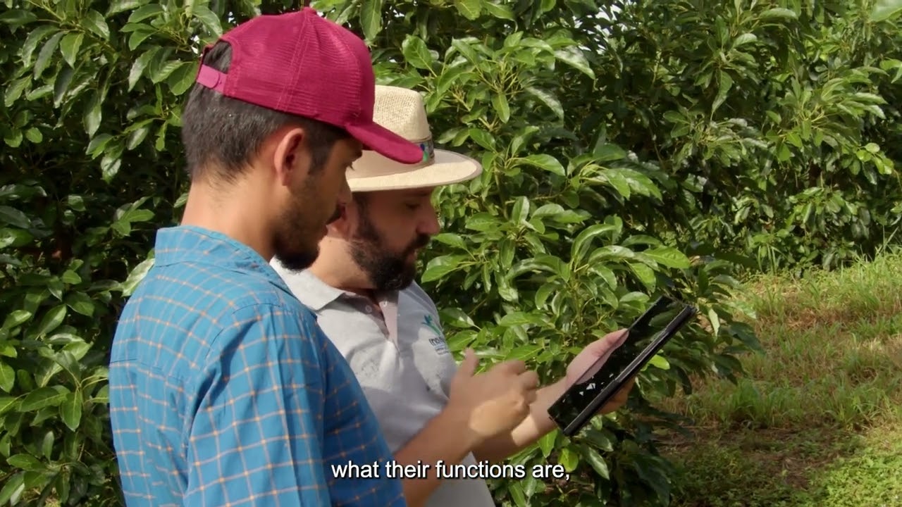 Koppert on the CABI BioProtection Portal