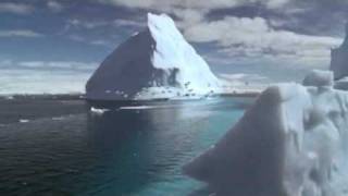 Amazing Flying Penguins Video