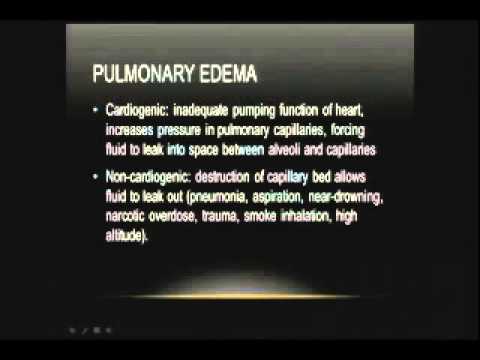 The Ohio EMS Conference 2013-05-20 Erika Kube Neck to Belly What Can Possibly Go Wrong