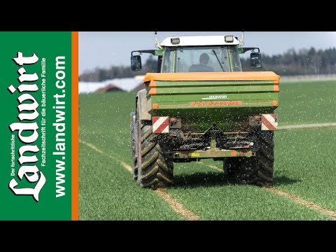 Düngestrategien bei Winterweizen