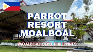 Parrot Resort Moalboal in Cebu, Philippines