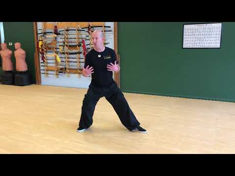 24 Yang Tai Chi Poems 7 & 8