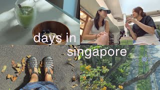 life in singapore 🌱 matcha cafes, gardens by the bay, trying bouldering (vlog)