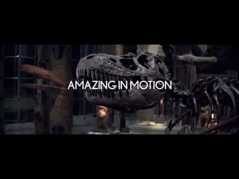 Lexus｜Amazing in Motion "SWARM" （CM 1min）