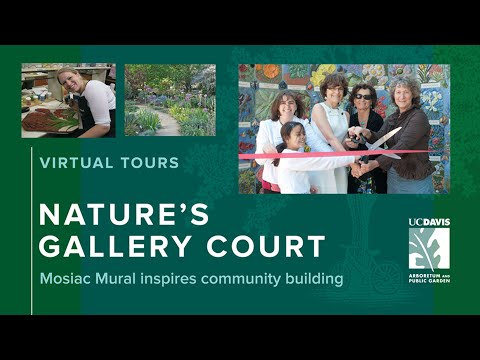 Nature’s Gallery Court | UC Davis Arboretum and Public Garden