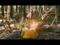 The Flannels - Segmentation (music video) 