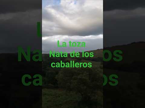 la toza nata cocle panamá