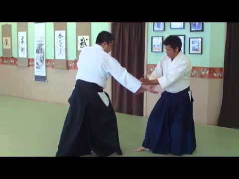 KSR Jujitsu- Aikido and Jujitsu Seminar (2009)