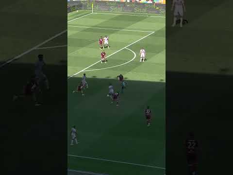 DEFINITION OF FOX IN THE BOX 🦊