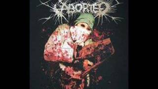 Aborted - The Saw and the Carnage Done