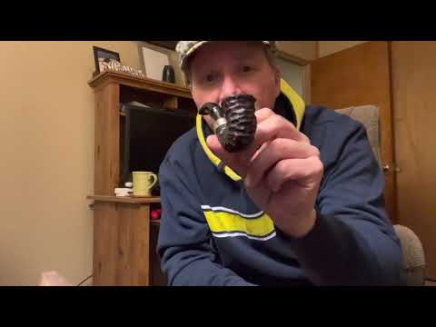 PETERSON STANDARD SYSTEM RUSTICATED 305