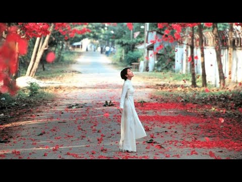 Three Seasons Full Movie Facts And Review | Don Duong | Nguyen Ngoc Hiep