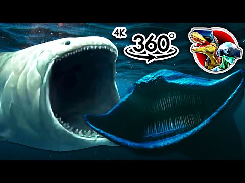 360° Bloop VS EL Gran Maja | 360 video 4K