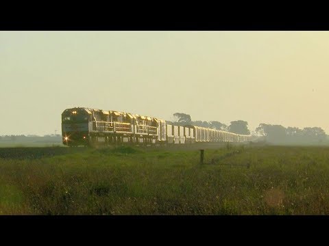 Quad SCT Class Locomotives on PM9 Container & Boxcar Service - PoathTV