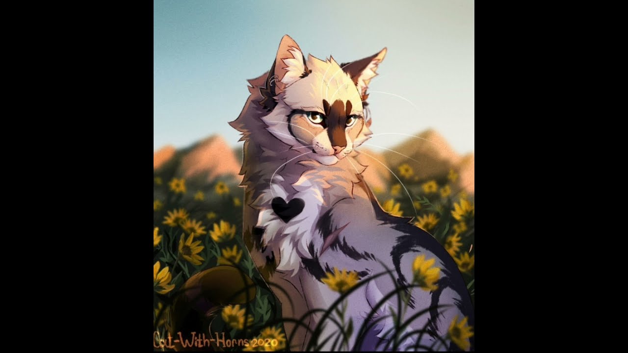 Warrior Cat Generator! (Name, fur, eyes, role, how you die ect.)