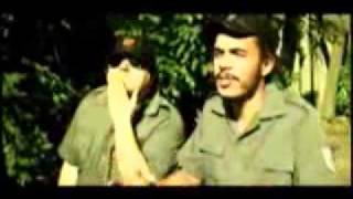 D2 O FILME CARA DE CAVALO.flv