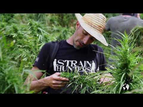 CAPITULO 26 “ADIOS Y HASTA SIEMPRE FRANCO”