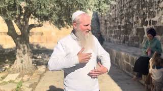 הרב דניאל כהן רב הישוב בת עין בהר הבית בדבר תורה לכבוד הנחת התפילין לנכדו (ישיבת הר הבית) - התמונה מוצגת ישירות מתוך אתר האינטרנט יוטיוב. זכויות היוצרים בתמונה שייכות ליוצרה. קישור קרדיט למקור התוכן נמצא בתוך דף הסרטון