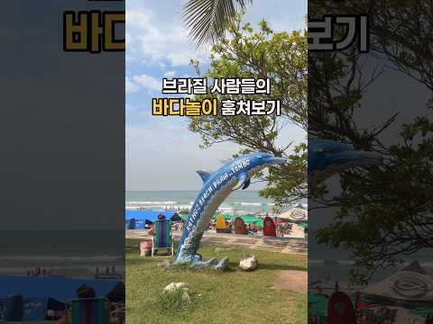 브라질 바다는 이런 느낌🇧🇷🌊