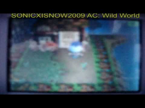 Animal Crossing Wild World: Town Tour