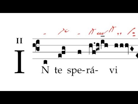 Offertorium: In te speravi