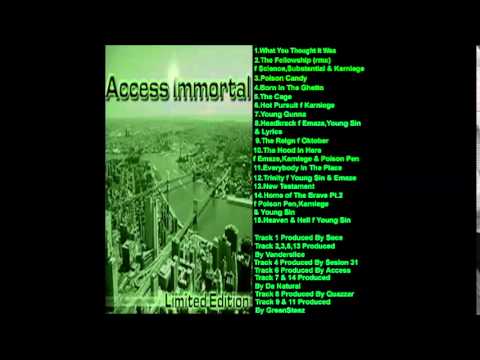 Access Immortal - Young Gunna