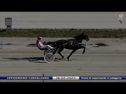 Aversa trotto 18 Febbraio 2023 - Prova di inserimento in categoria