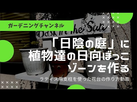 日陰の壁に適した植物はどれですか?私たちのトップ3！  庭園
