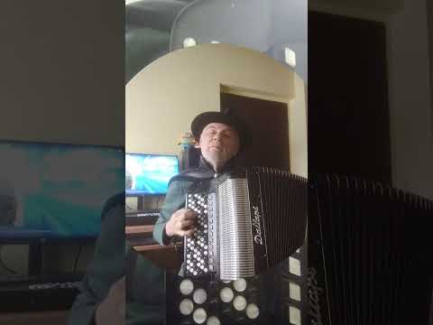 Ljupko Tomic - detalj Umetnickog kola #Shorts