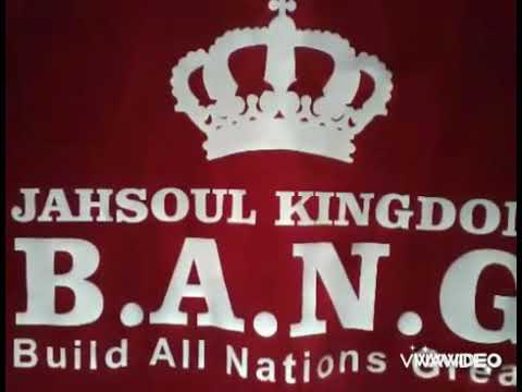 SOWSEED-(TOO HOT FI DEM)2021