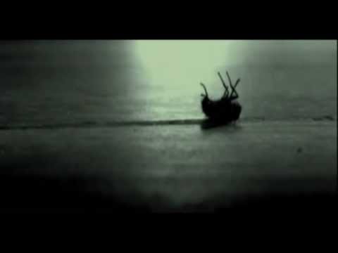 Deepium - Mélyzöld