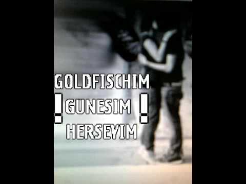 Kücük ibo ayrilik GOLDFISCH