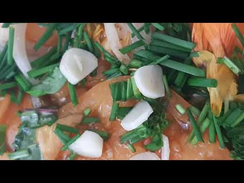 die Geschichte einer Tomate