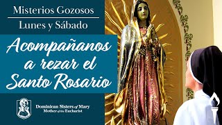 Pray the Rosary IN SPANISH | The Joyful Mysteries | Sisters of Mary, Mother of the Eucharist