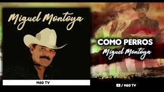 Como Perros- Miguel Montoya (En Vivo) 2019 "Exclusivo"