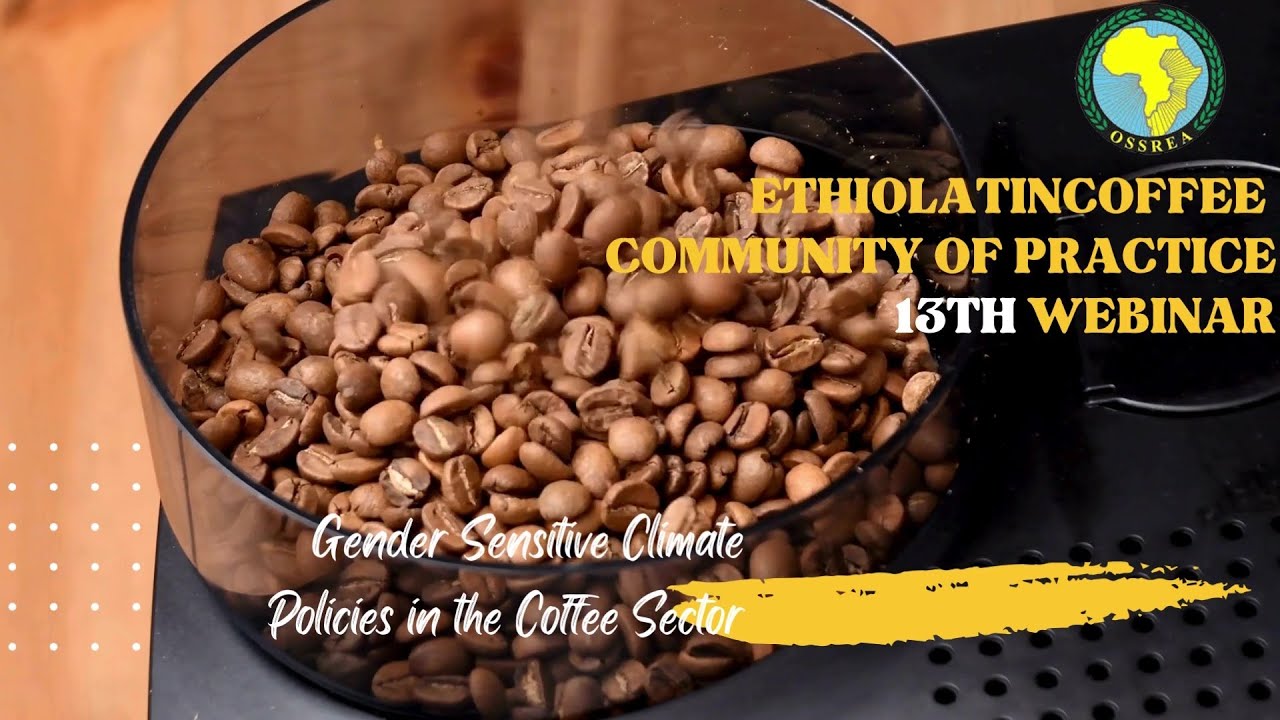 Gender Sensitive Climate Policies in the Coffee Sector --- English Version