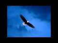 Delbert McClinton - Have Mercy
