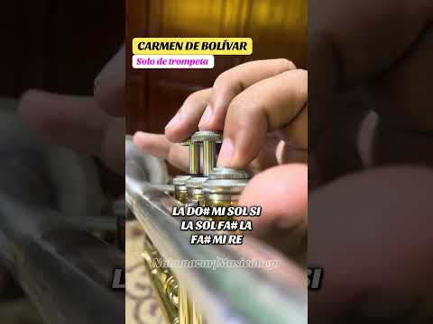 Carmen de Bolívar - solo de trompeta #trompeta #tutorial #musica