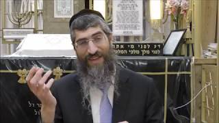 הרב יצחק יוסף שליט"א (נכדו של מרן) דיני והלכות טבילת כלים