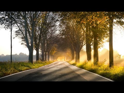 Mindful Awareness Practices LLC (MAPs) video/presentation/materials