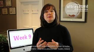 9 Weeks Pregnant - Your 9th Week Of Pregnancy