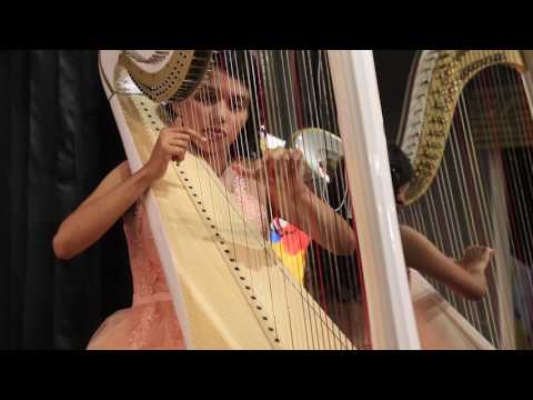 Meagan Harpist Zara Zara (Rehnaa Hai Tere Dil - Bollywood) Vaseegara (Minnale - Tamil)