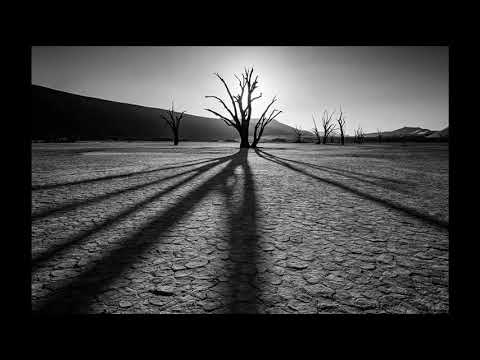 Arapu & Lowris - fRo