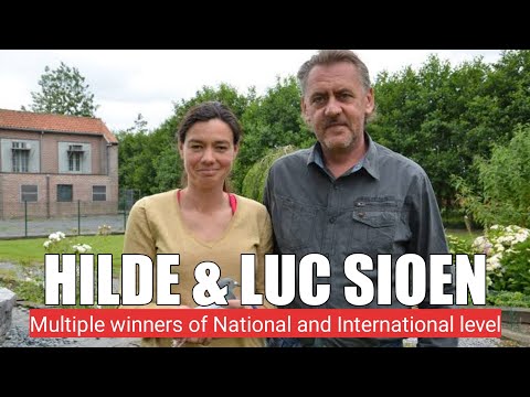 Luc & Hilde Sioen  - 1st NATIONAL ARGENTON 2019 15,235 OLD BIRDS