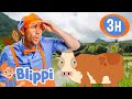 3 Hours Of Educational Learning Blippi Visits Kualoa Ranch Explores Hawaii Videos For Kids