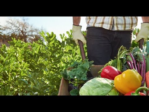 Reč struke ep. 210 11.10.2018. NAJAVA