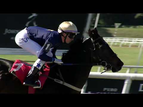 220904 c01 LEOPARD (BRZ)